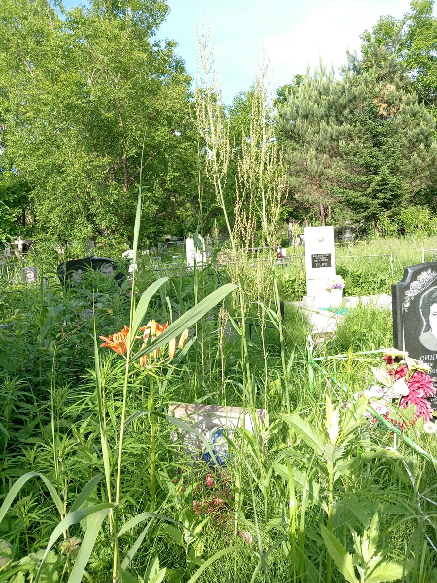 d2c60083-f5ad-4827-a09c-981b46bc2c3f Неизвестно Виктор Неизвестно