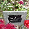 Заруднева Елена Маратовна