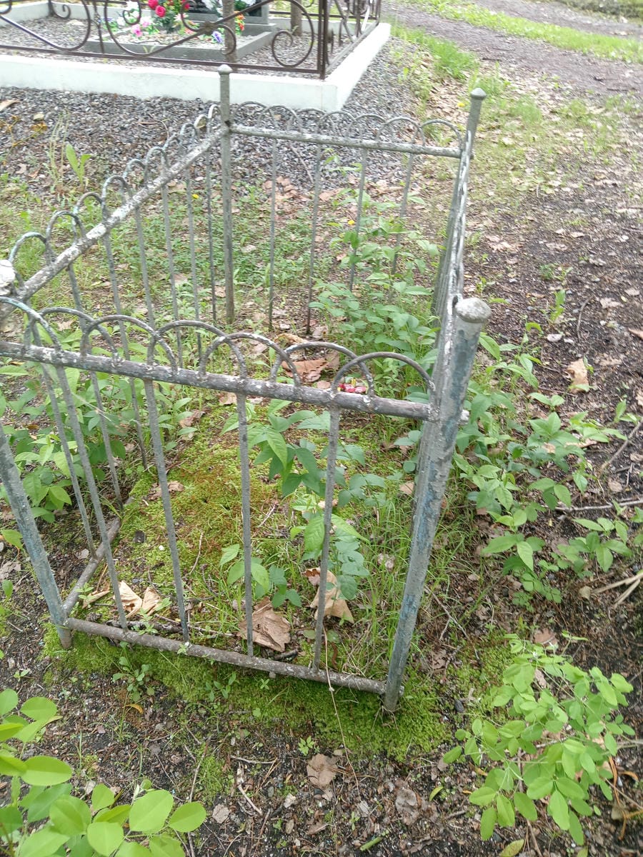 d31ba811-a350-4f9b-8759-e3de74ab99cc Неизвестно Неизвестно Неизвестно