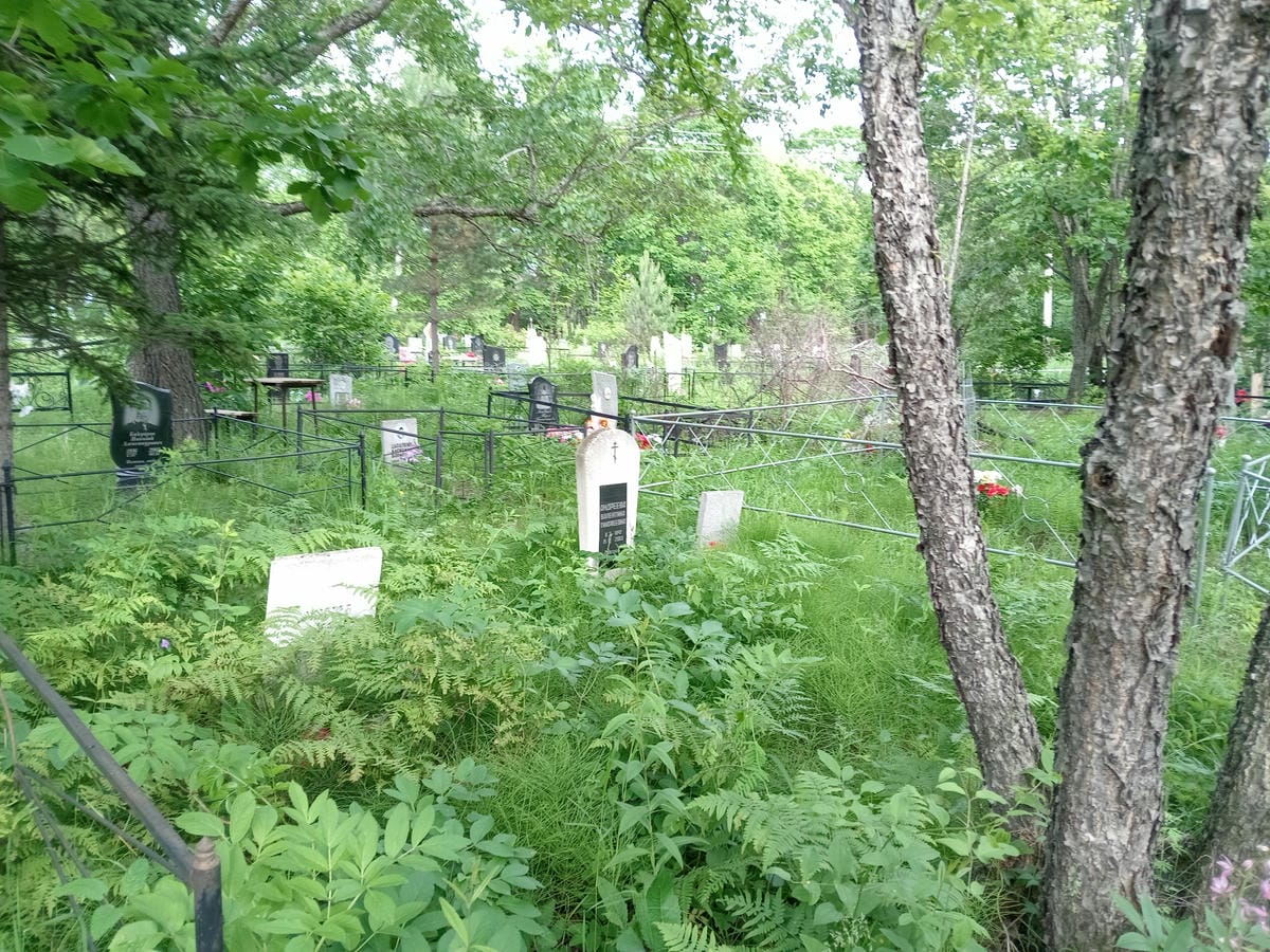 d35c3cda-d02a-4e10-ae7b-b744e80178d6 Андреева Валентина Тимофеевна