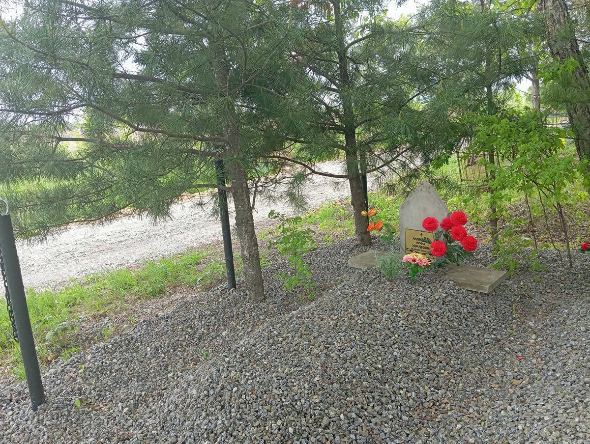 Андросова Ирина Эдуардовна