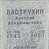 Ваструхин Валерий Владимирович