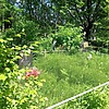 d609c5f6-1c75-4587-823c-579477331e89 Неизвестно Неизвестно Неизвестно