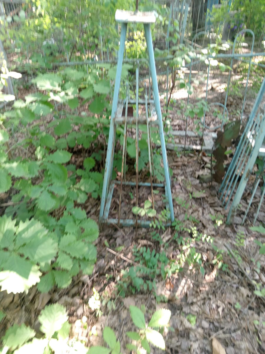 Неизвестно Неизвестно Неизвестно