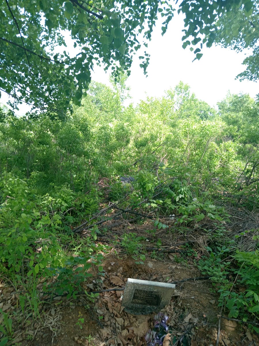 d62c94e6-21bb-4c30-9852-332b8b2c604f Кисель Галина Алексеевна