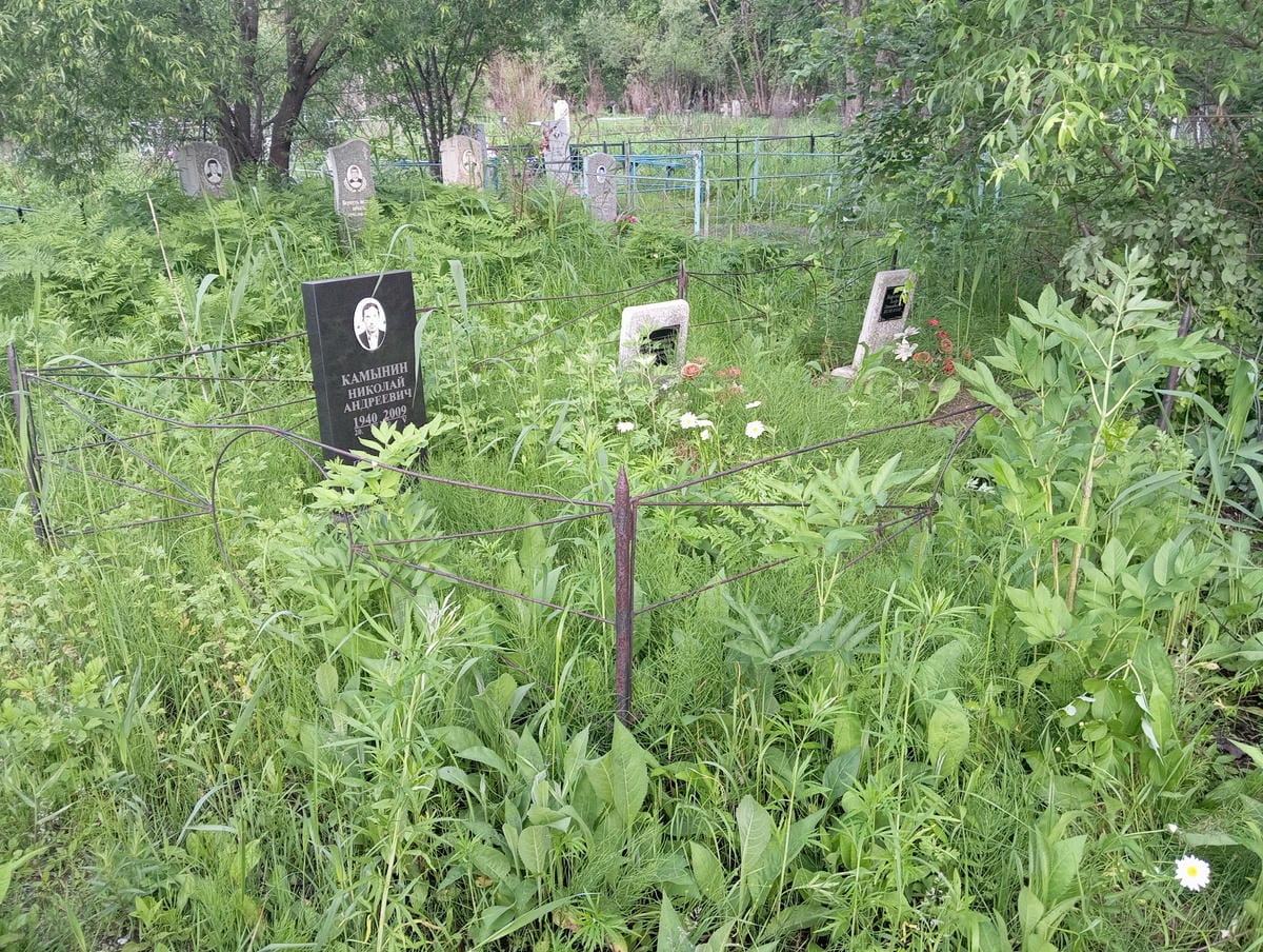 Боровиков Андрей Геннадьевич