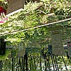 Гнитецкая Александра Петровна