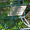 Никитин Вячеслав Викторович