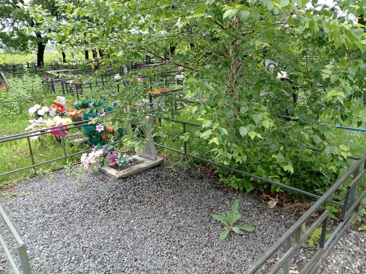 Ковалева Алина Аркадьевна