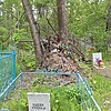 Чудова Софья Неизвестно