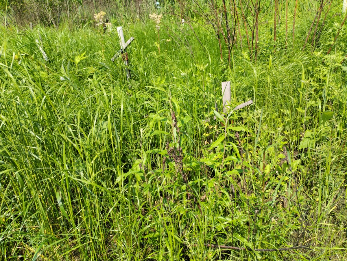 Неизвестно Неизвестно Неизвестно