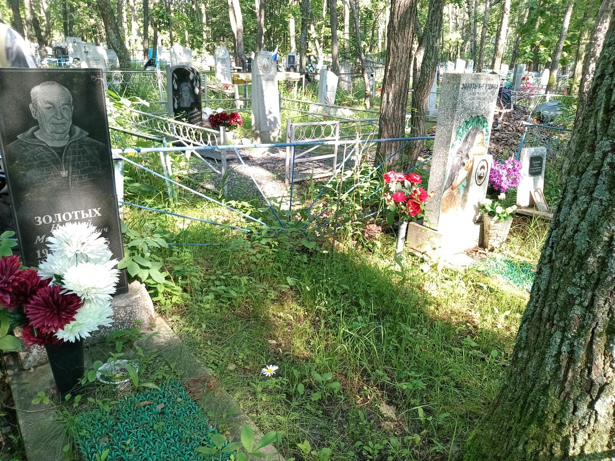 d8a9405a-846b-4f89-8882-550dfe5e7c1e Гущина Ольга Александровна