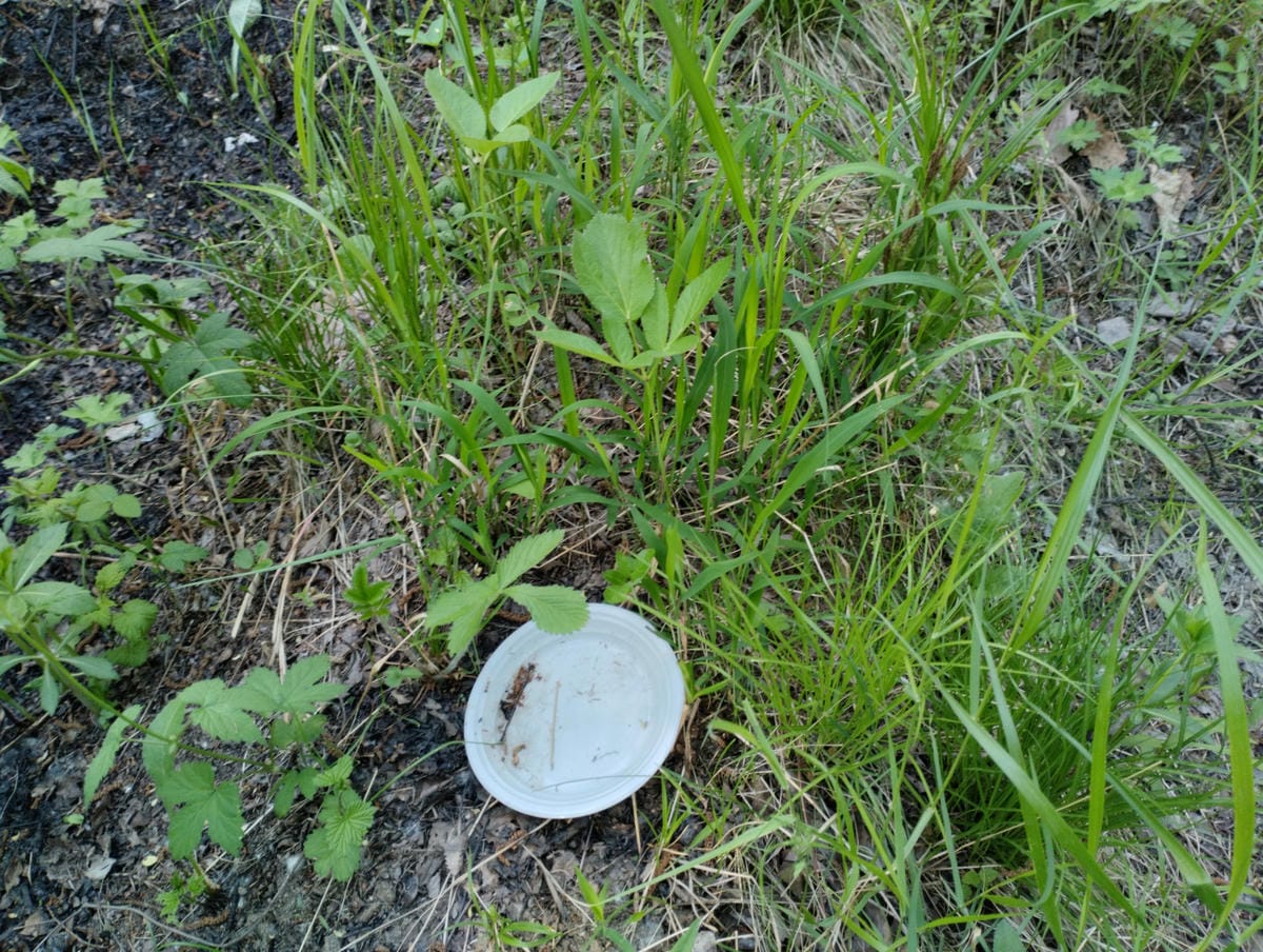 d8d5f07a-d05e-46c9-aeb6-0aefd2e28084 Неизвестно Неизвестно Неизвестно