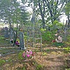 Тимофеев Егор Егорович