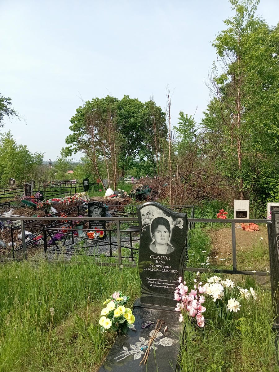 d924581c-7d64-463d-a794-4321643070c0 Сердюк Вера Георгиевна