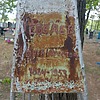 Лебедев Андрей Арестович