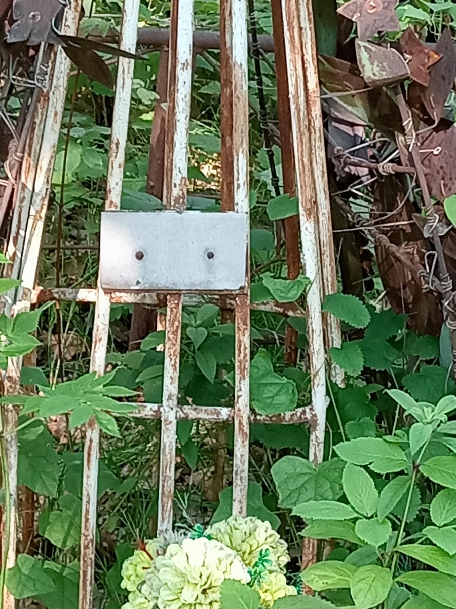 d9459518-61a8-4c81-8a31-a59c44ed3aed Неизвестно Неизвестно Неизвестно