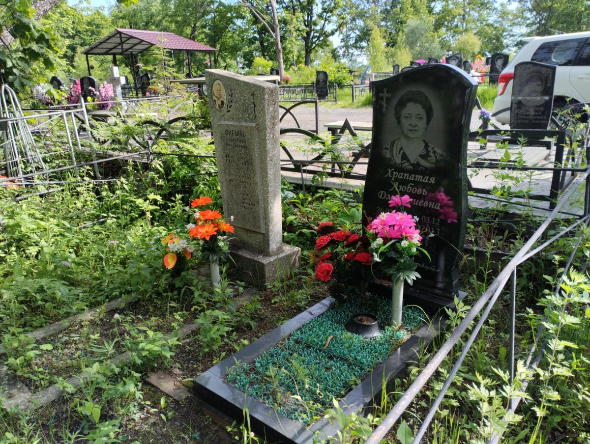 d956ca93-4dc0-4931-9b4f-3caa168b3d88 Скрыль Екатерина Прохоровна
