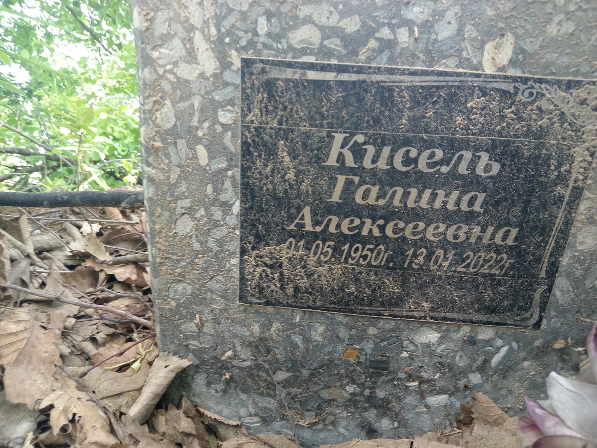 d9d5fb96-f77b-44d4-b960-10a27e211e5d Кисель Галина Алексеевна