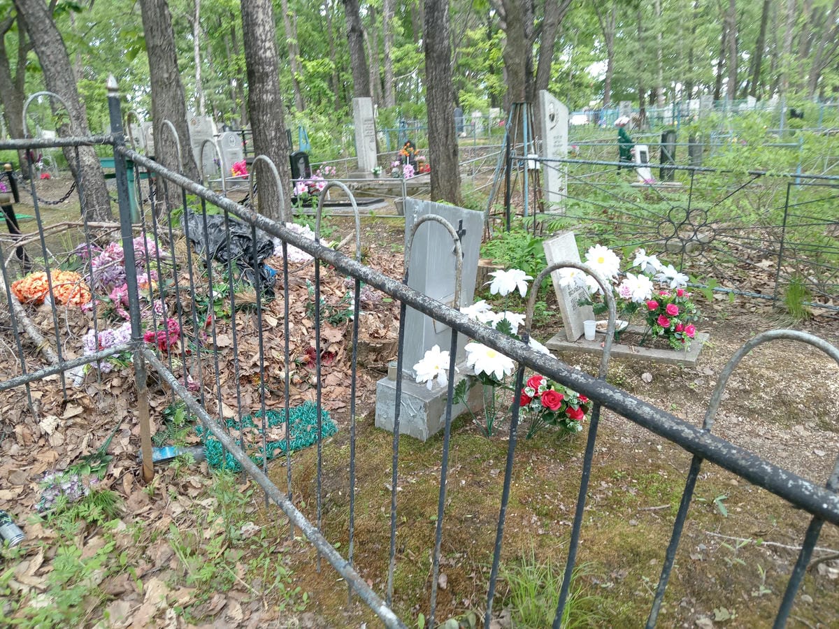 d9deb1f0-05be-4416-a5fe-a57ba6666eae Кушнаренко Василий Николаевич