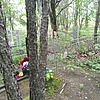 Вяткин Евгений Витальевич