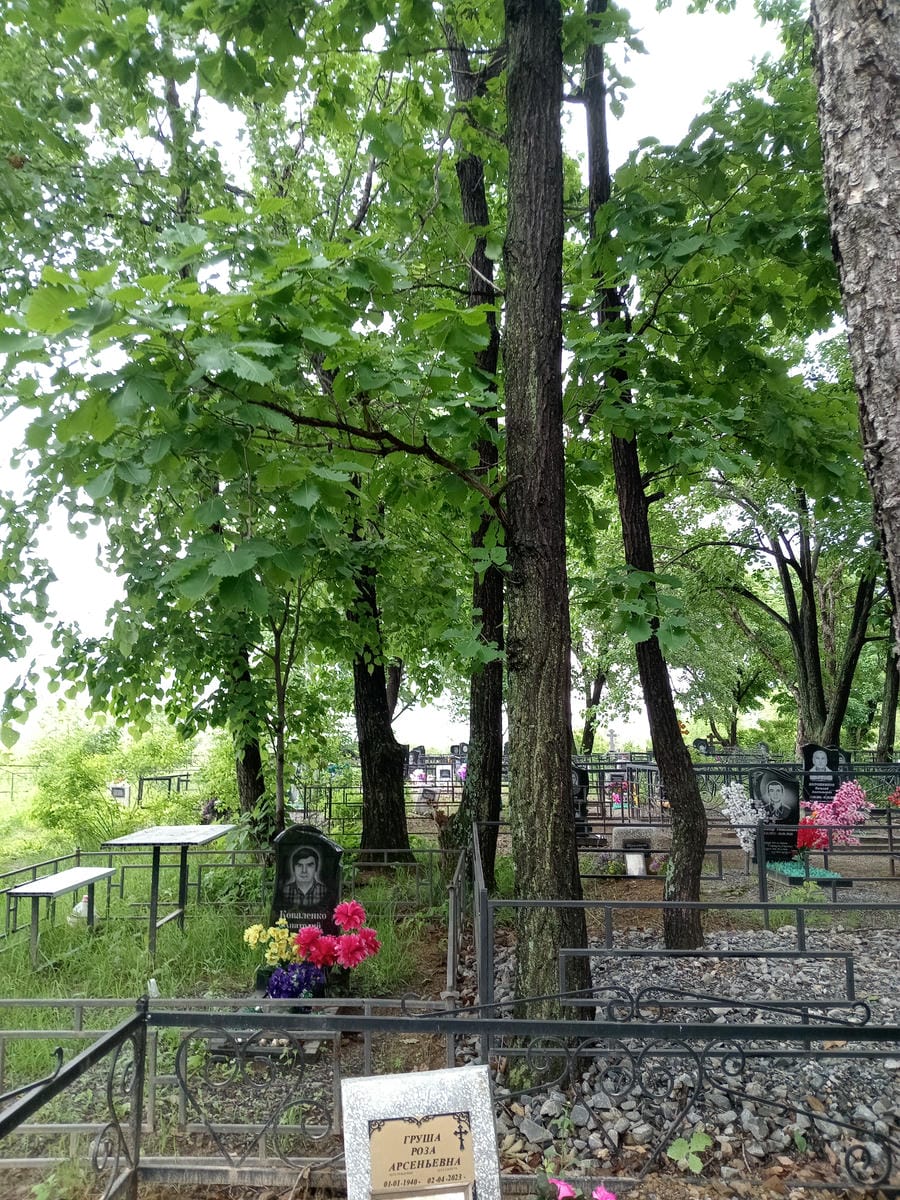 da27697d-c5c0-45c1-8496-8556699e4e75 Груша Роза Арсеньевна