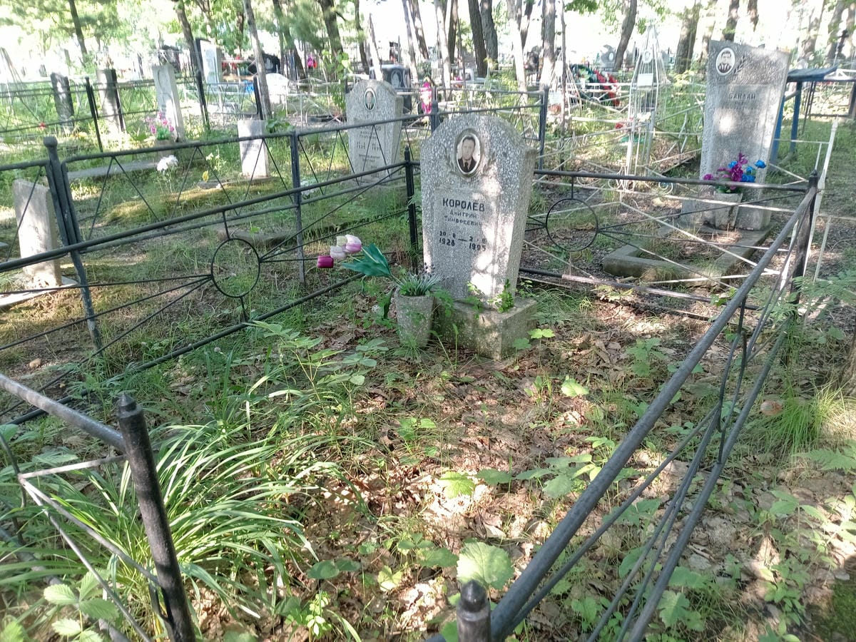 Королев Дмитрий Тимофеевич