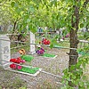 Шмелёв Марат Иванович