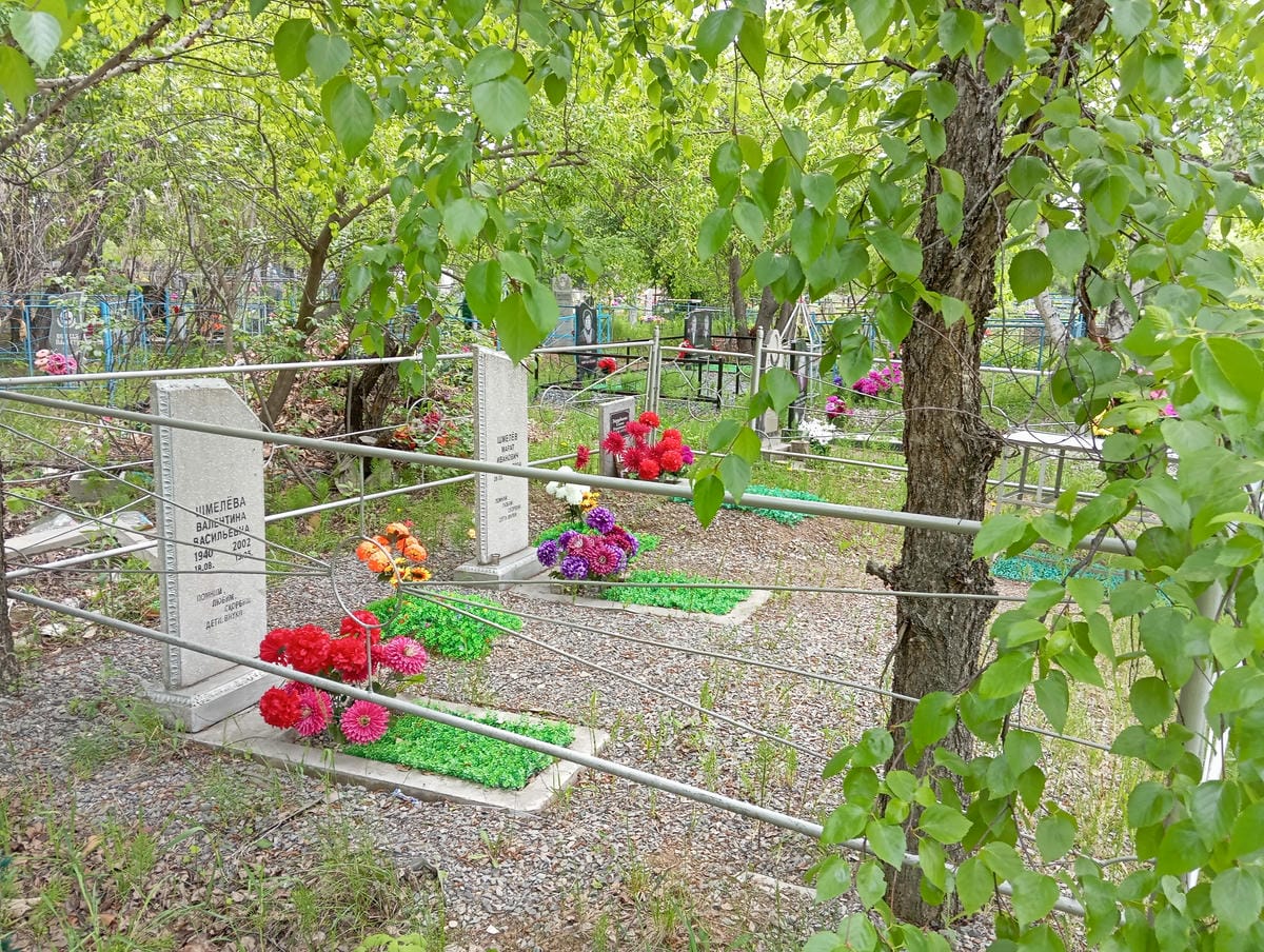 db1dfd77-4e0a-43eb-9a85-93f54431fb37 Шмелёва Валентина Васильевна