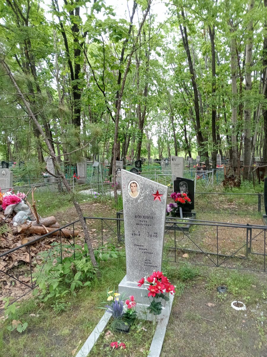 dbd3719c-4d80-4f22-a723-40e98d0940aa Докшин Петр Иванович