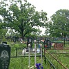 Лаврук Сергей Анатольевич
