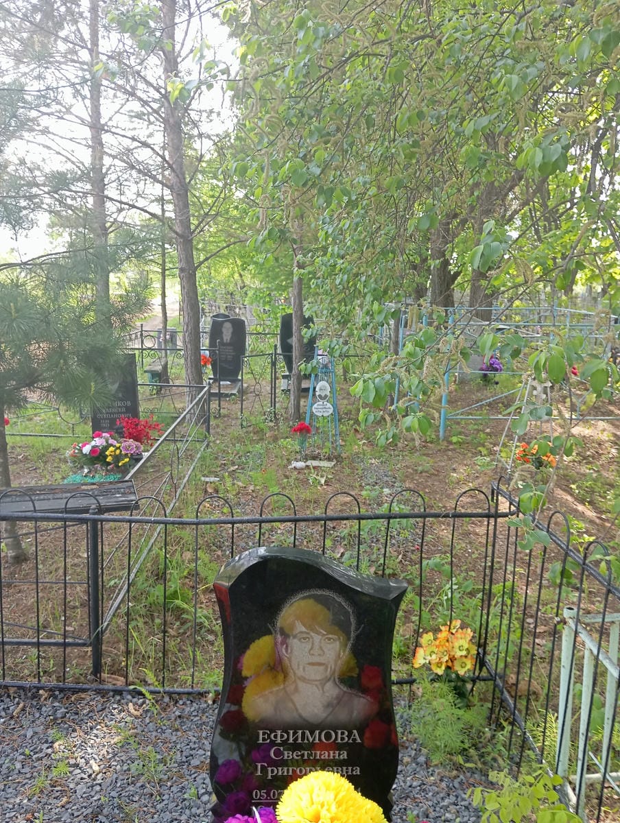 dd3ea9b9-b442-437a-8da2-5d7bf4a2c8c8 Ефимова Светлана Григорьевна