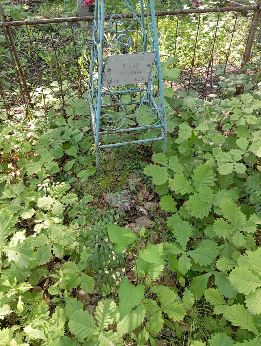 Богомазова Лидия Ивановна