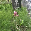 Сеемачков Владимир Михайлович