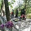 Комиссарова Анна Мироновна