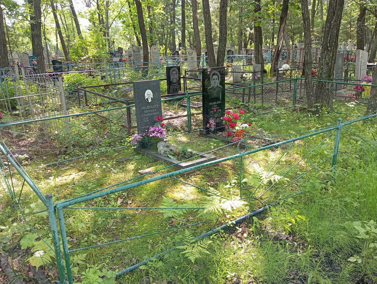 de77b30a-0501-4ee5-81d4-c7b7d52aefe3 Медведева Вера Петровна