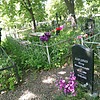 Хлуднев Пётр Михайлович