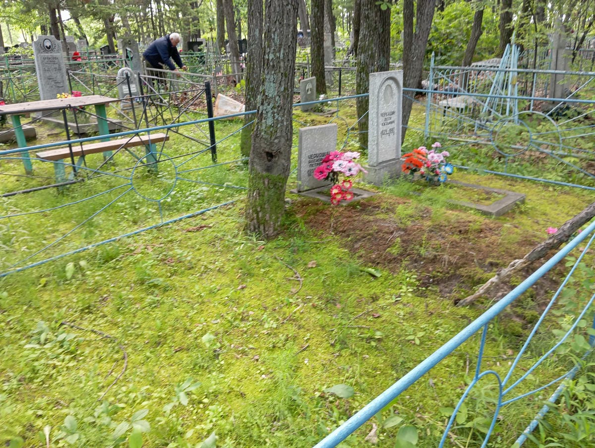 Черкашин Александр Петрович