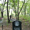 Старовит Анастасия Петровна