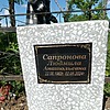 Сапронова Людмила Анатольевна