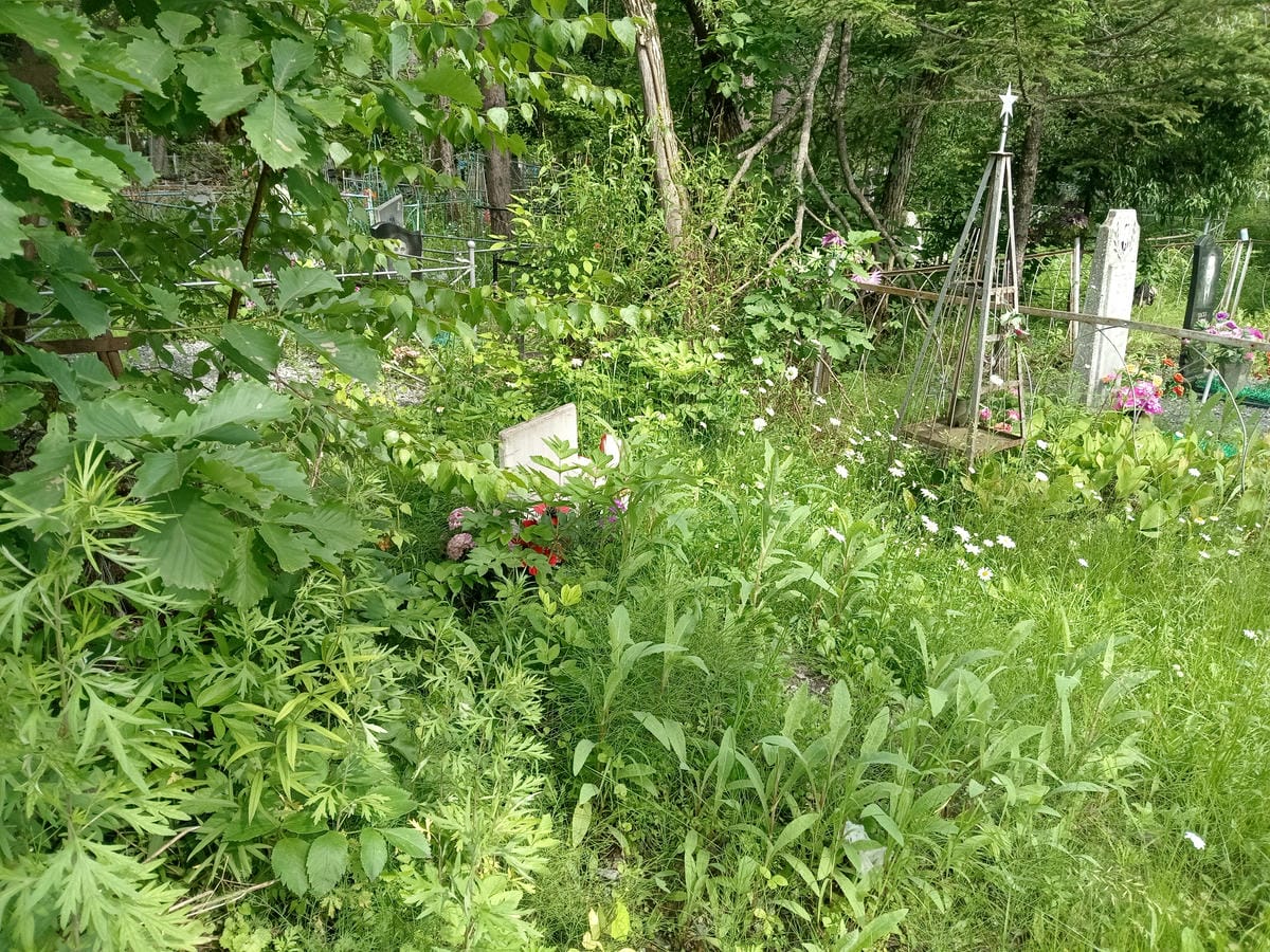 dfa189c4-cfab-47da-b33c-d89646484c6c Копытина Екатерина Владимировна