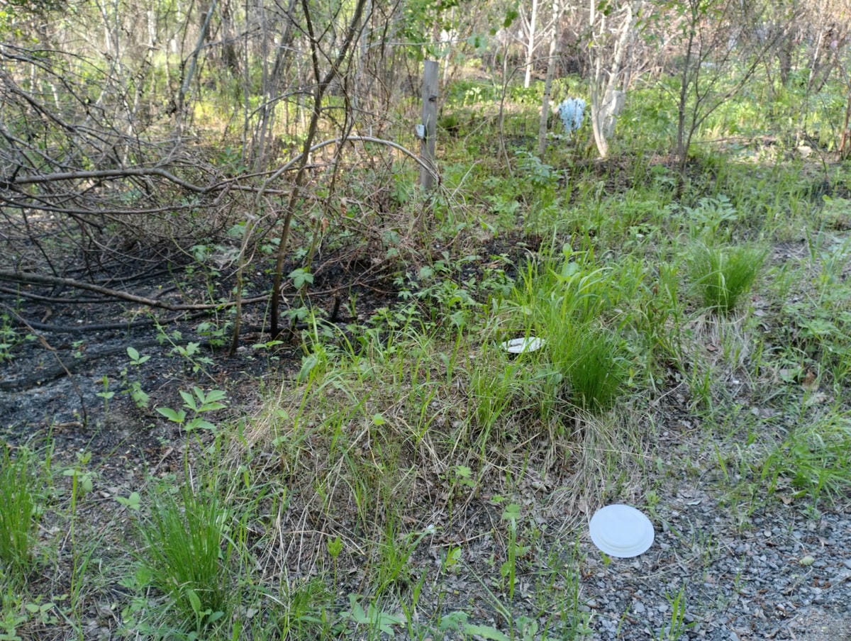 dfe9ec81-b1ab-4ca1-aa18-904c6d3ca906 Неизвестно Неизвестно Неизвестно