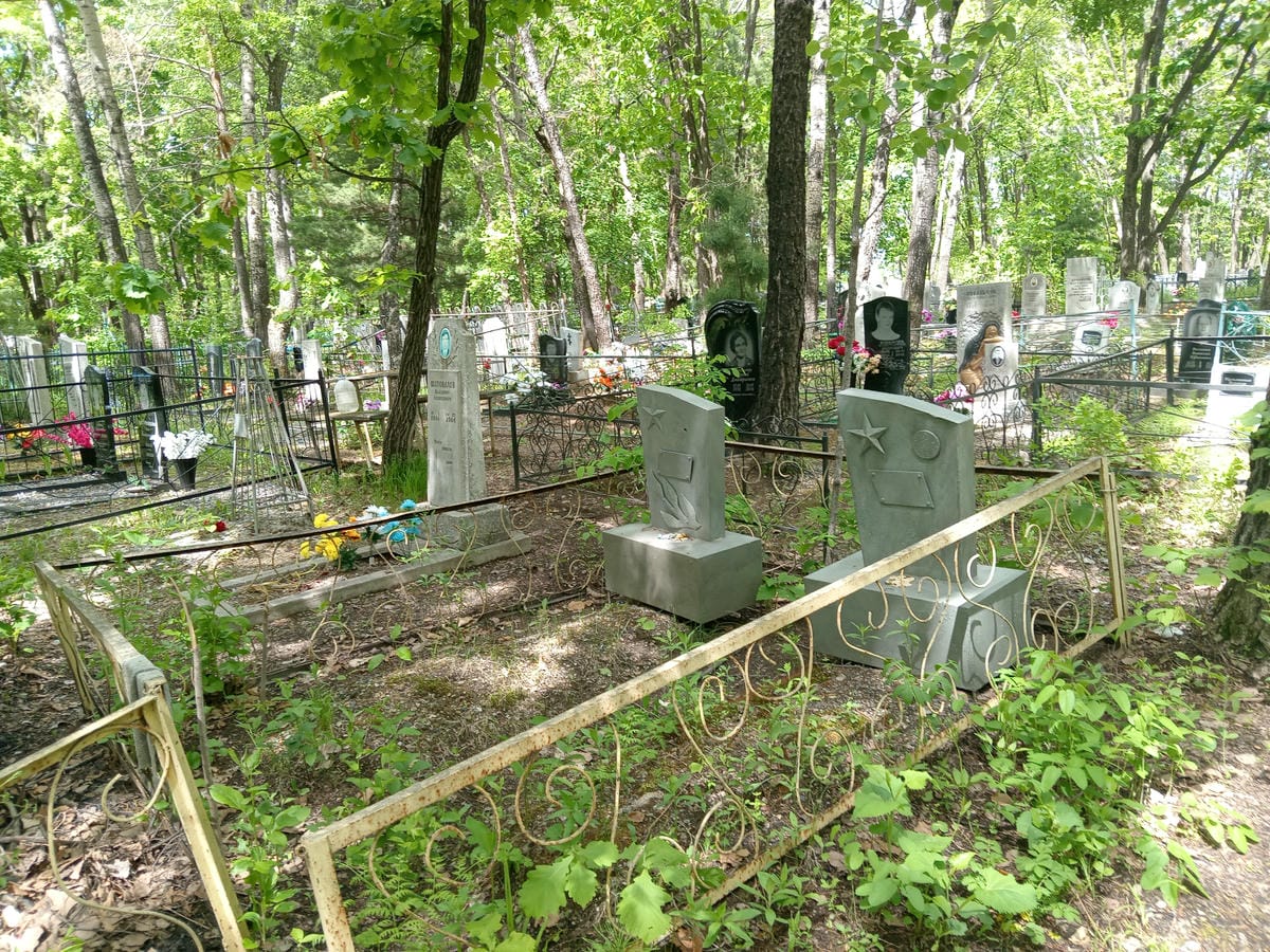 e0397149-bbf5-4128-b804-538863484110 Емченко Борис Титович