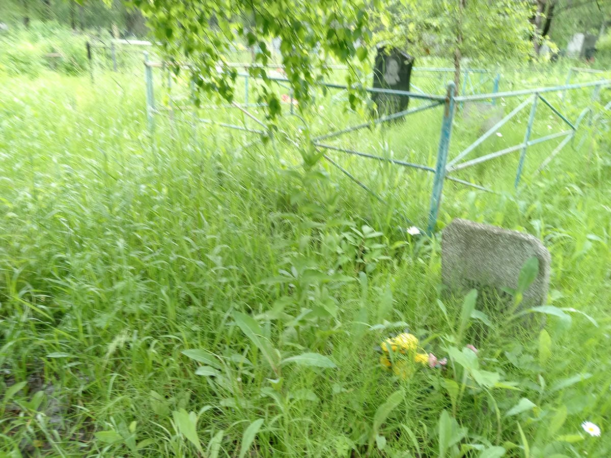 e0727030-db66-407b-9988-3670657e5dbd Сиволап Елена Валерьевна