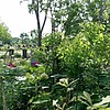 Кудрявцев Александр Родионович