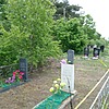 Чекушин Николай Андреевич
