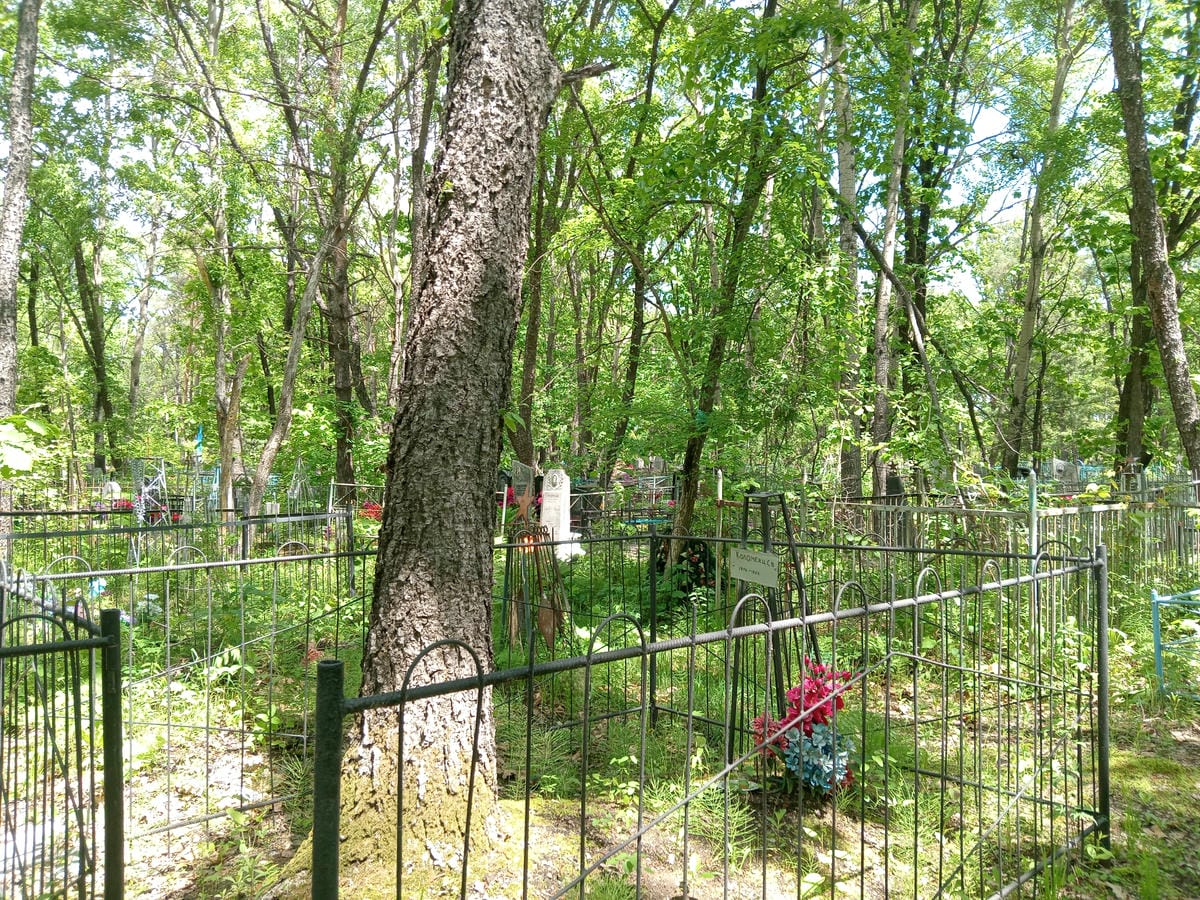 e0fe1778-9755-462b-81d1-364664f80f25 Коломеяц С В