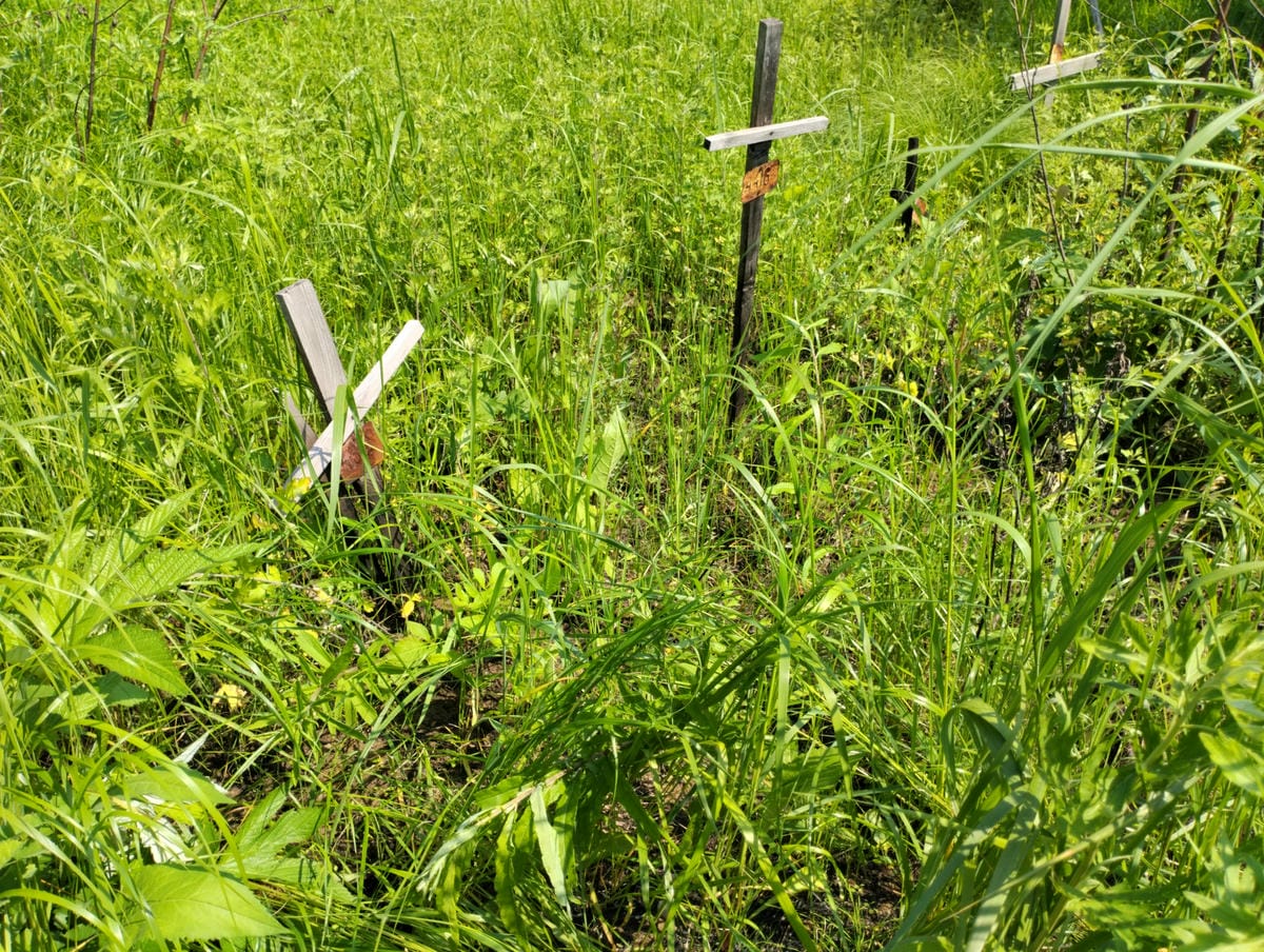 Неизвестно Неизвестно Неизвестно