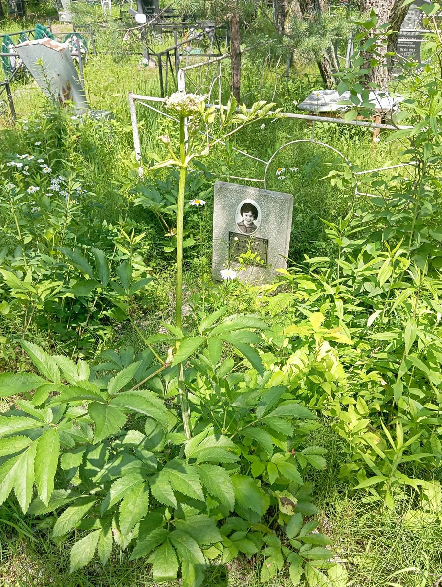 Павлова Валентина Михайловна