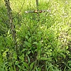e1f448f1-095a-4eb3-9860-e91cea6ee5db Неизвестно Неизвестно Неизвестно